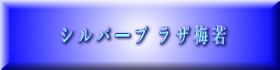 シ ル バ ー プ ラ ザ 入 口